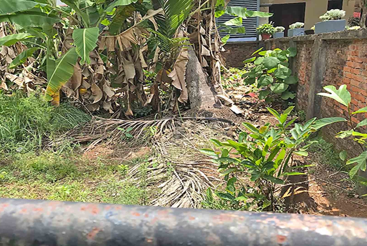 View of the boundary wall and neighbor's house for the 7 cent land sale in Thattarath Road, Palarivattom.