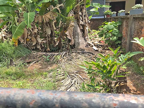 View of the boundary wall and neighbor's house for the 7 cent land sale in Thattarath Road, Palarivattom.