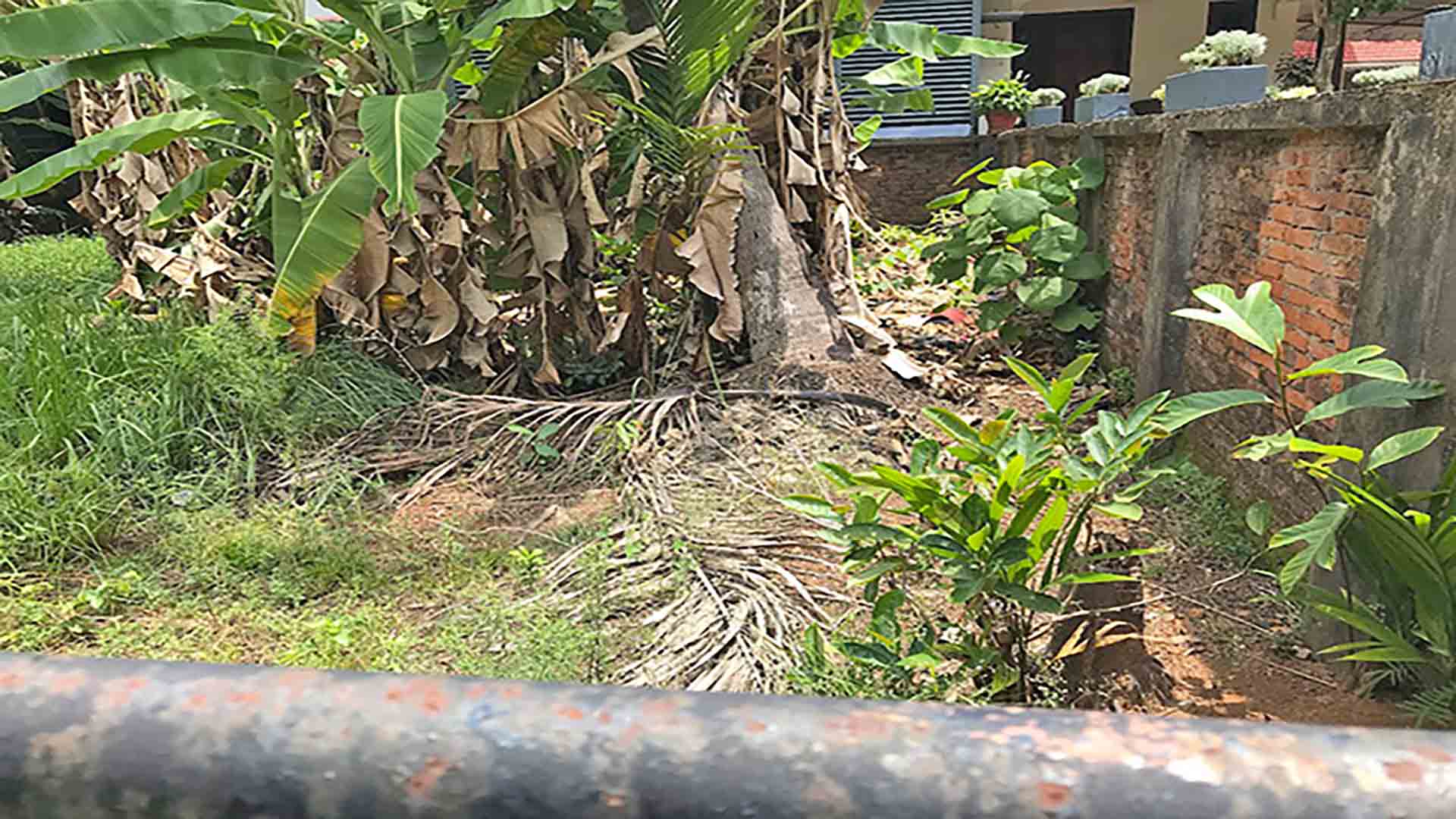 View of the boundary wall and neighbor's house for the 7 cent land sale in Thattarath Road, Palarivattom.