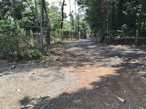 Road access to a 21 cent residential house plot for sale in Kattode, Thiruvalla.