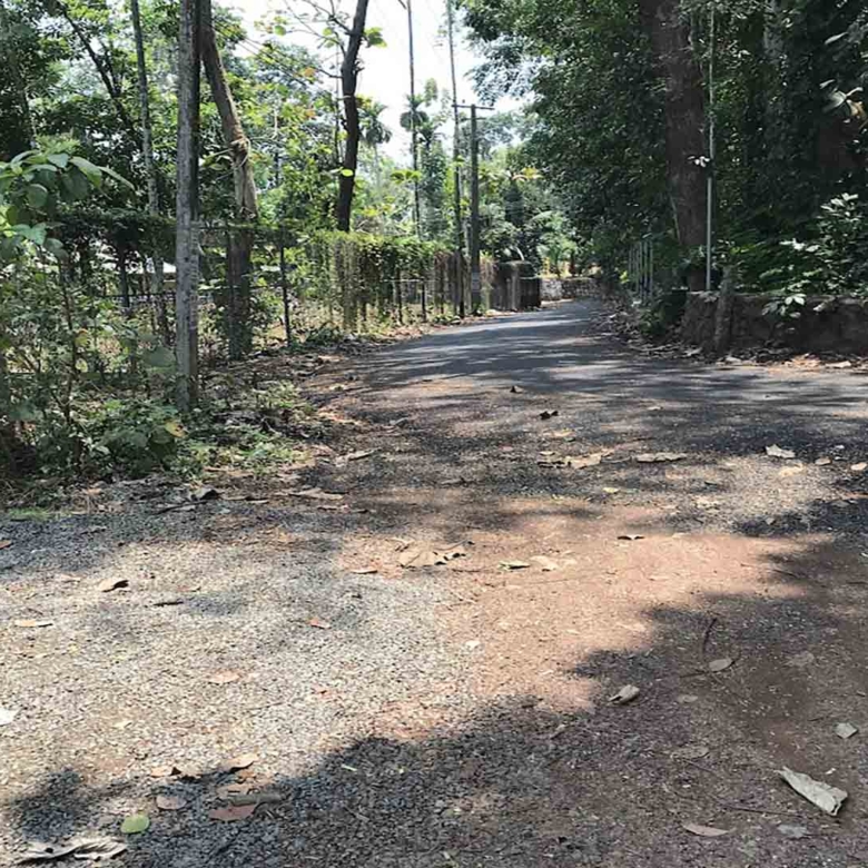 Road access to a 21 cent residential house plot for sale in Kattode, Thiruvalla.