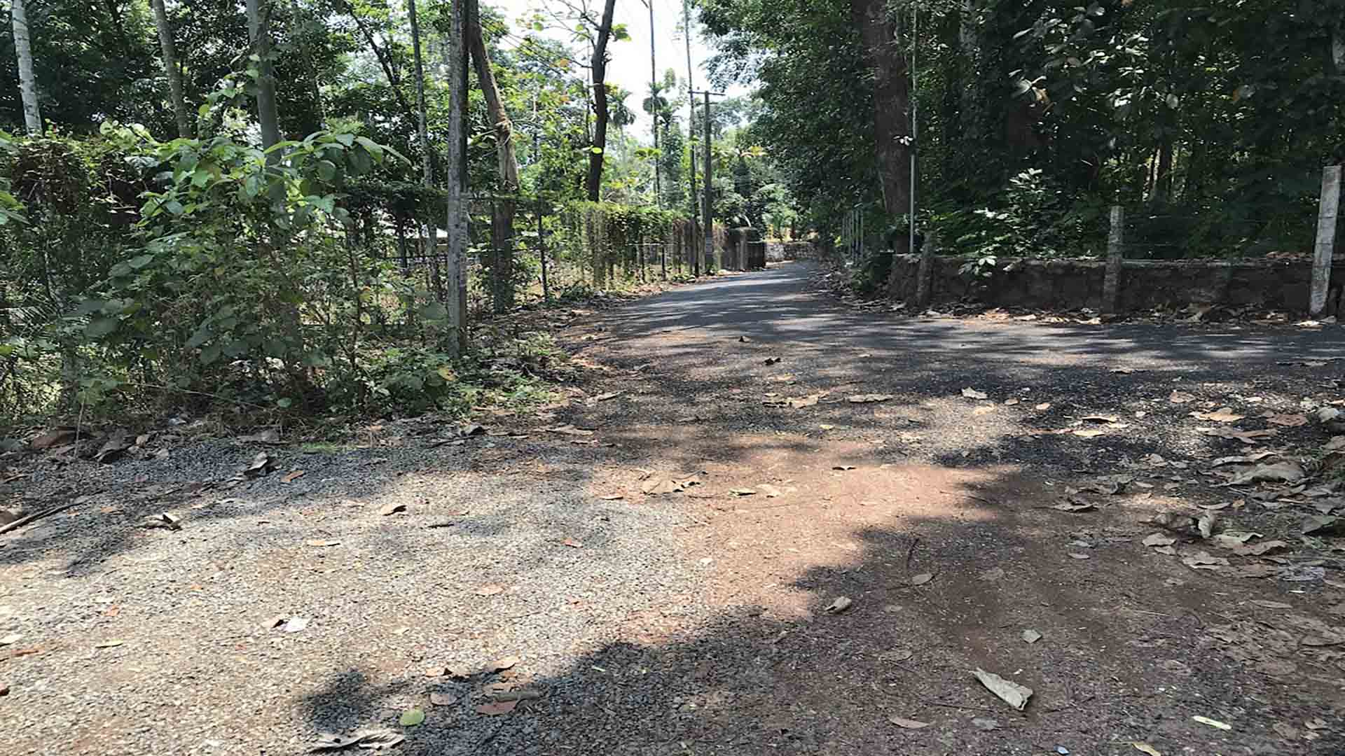 Road access to a 21 cent residential house plot for sale in Kattode, Thiruvalla.