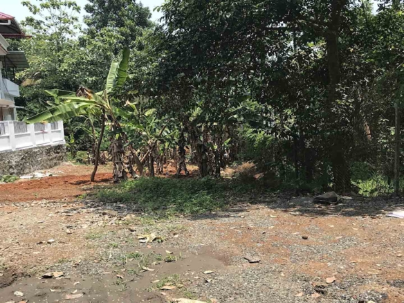 Flood-free residential land for sale near TK Road Highway, Thiruvalla, featuring a leveled gravel entrance, banana trees, and an adjacent modern white house.