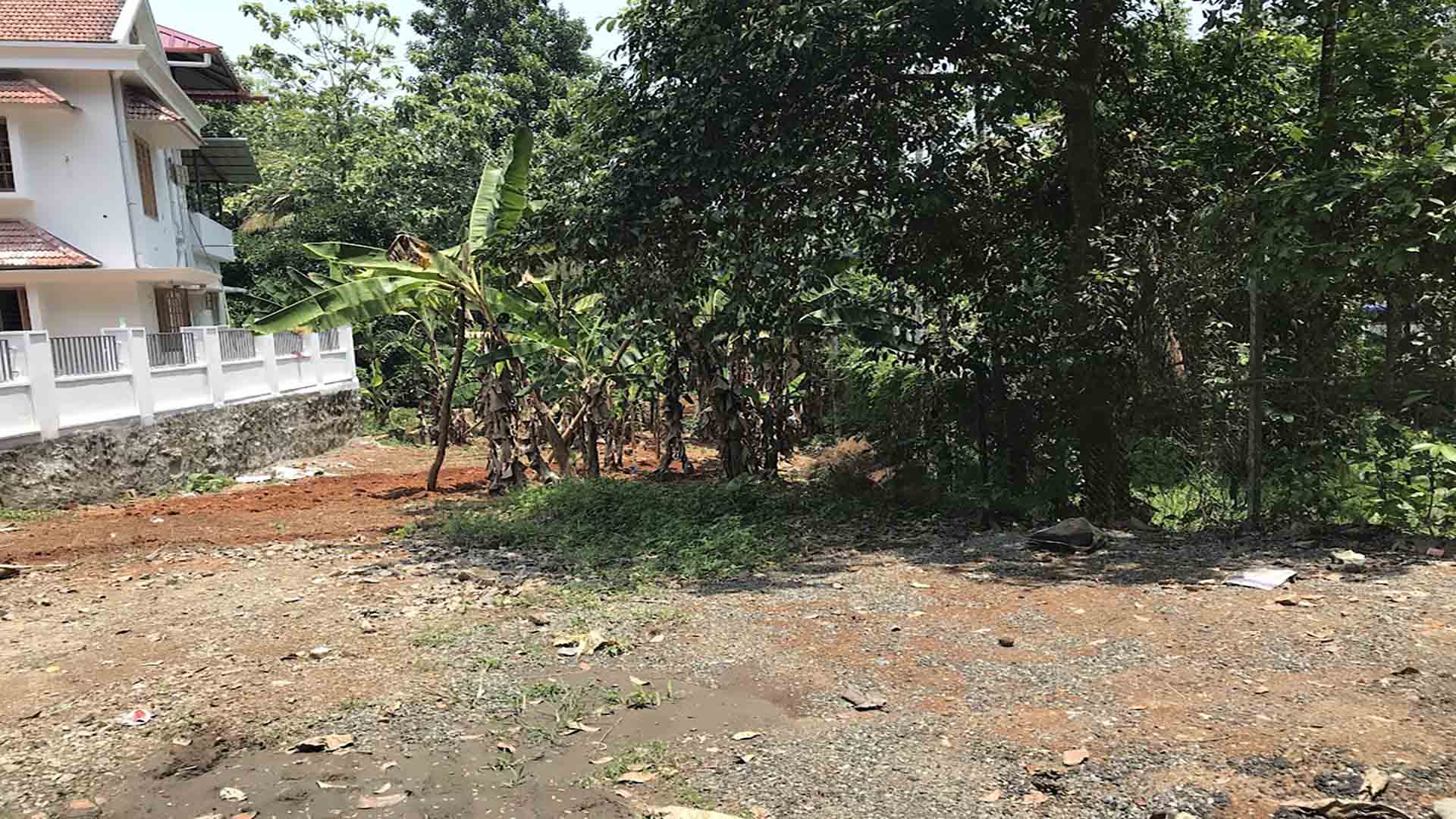 Flood-free residential land for sale near TK Road Highway, Thiruvalla, featuring a leveled gravel entrance, banana trees, and an adjacent modern white house.
