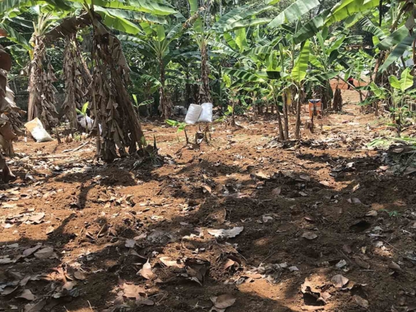 A cleared, level 21-cent residential plot for sale near TK Road, Thiruvalla, featuring a neighboring modern white two-story villa.