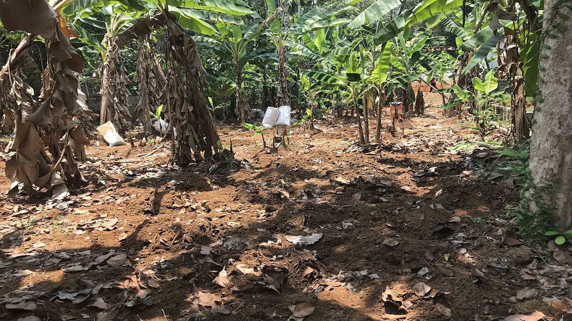 A cleared, level 21-cent residential plot for sale near TK Road, Thiruvalla, featuring a neighboring modern white two-story villa.