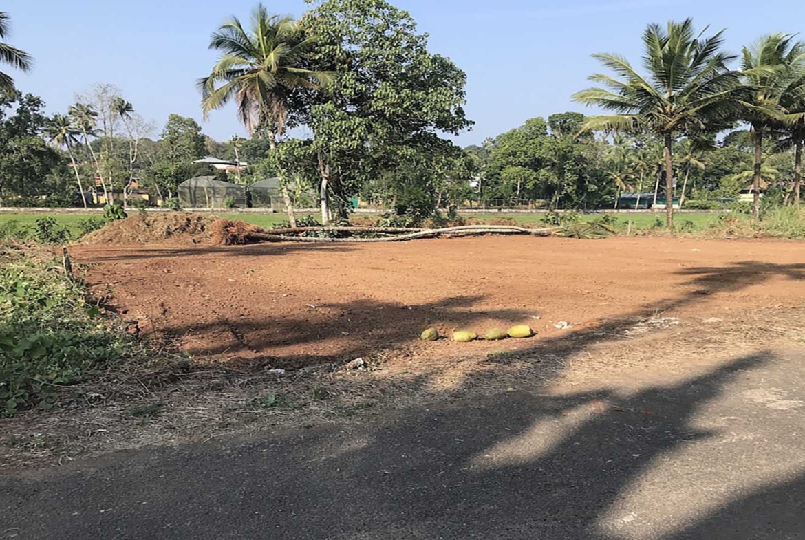 Low price house plot for sale in Thiruvalla below 28 lakhs.