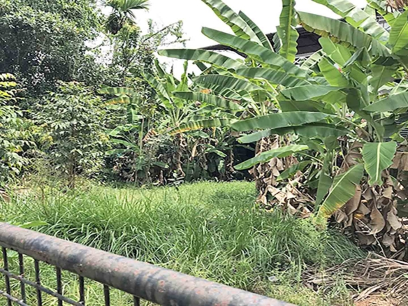 7-cent-plot-thattarath-road-kochi-boundary-view