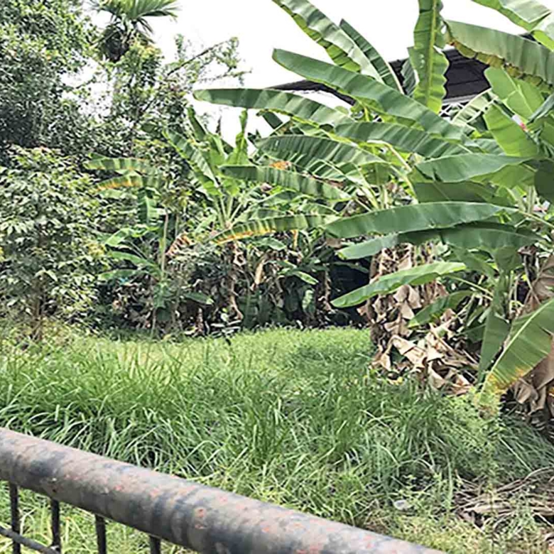 7-cent-plot-thattarath-road-kochi-boundary-view