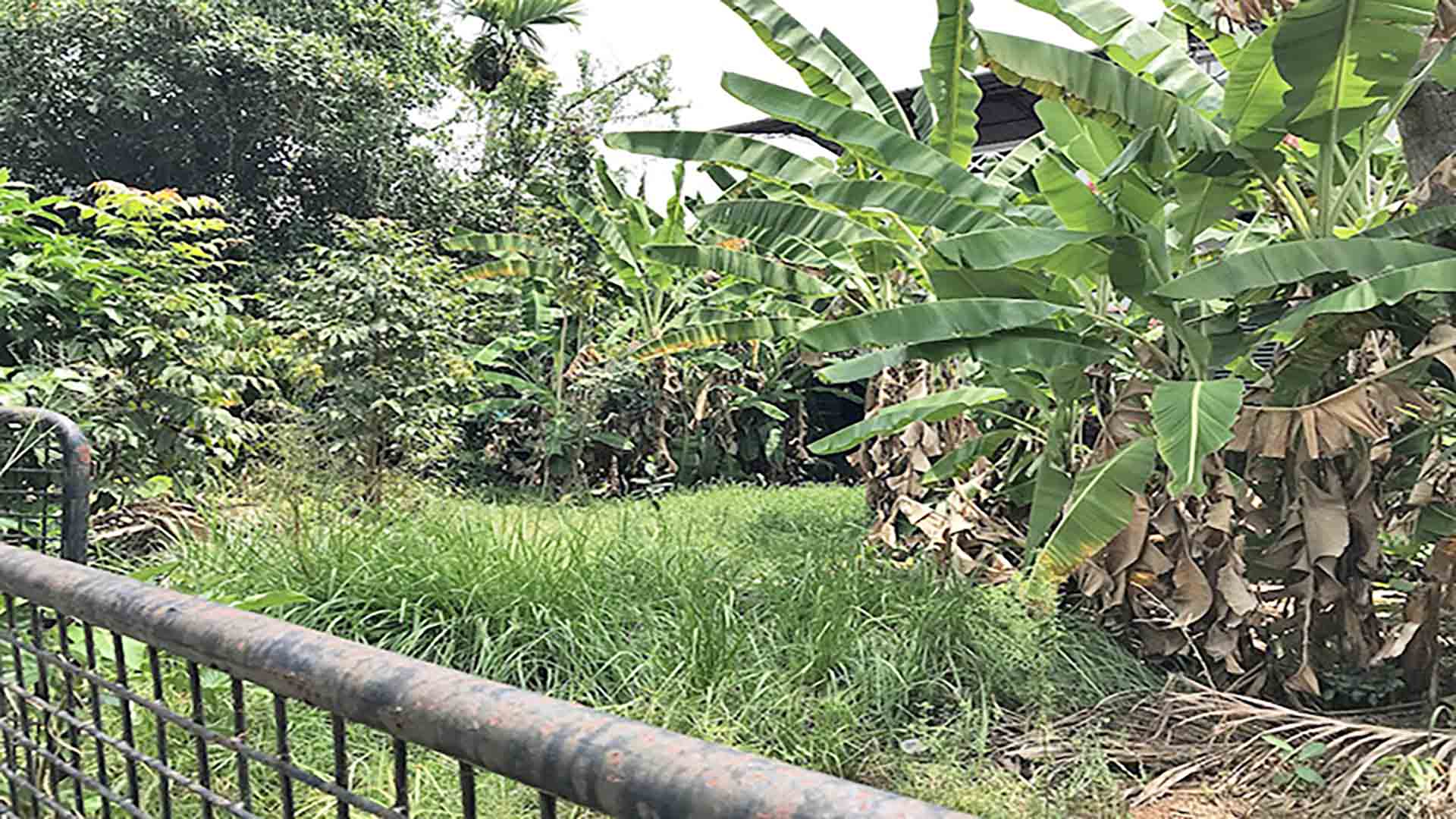 7-cent-plot-thattarath-road-kochi-boundary-view