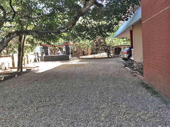 Wide gravel driveway and side view of a 4-BHK house on a 26-cent plot in Karthika Road, Chengannur, featuring mature mango trees, live water well and ample parking space.