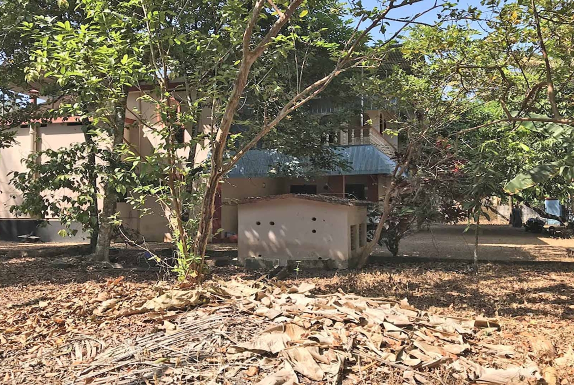 Land with fruit trees for sale in Chengannur