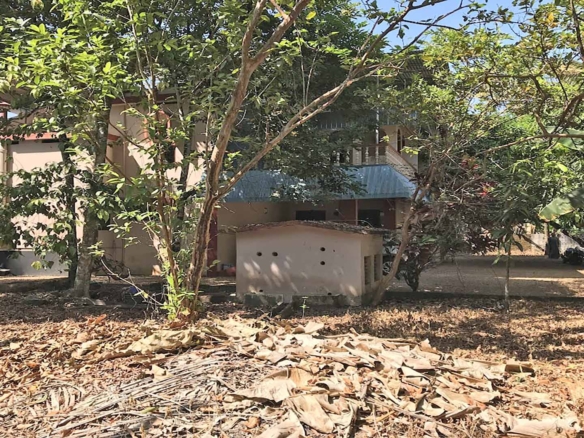 Land with fruit trees for sale in Chengannur