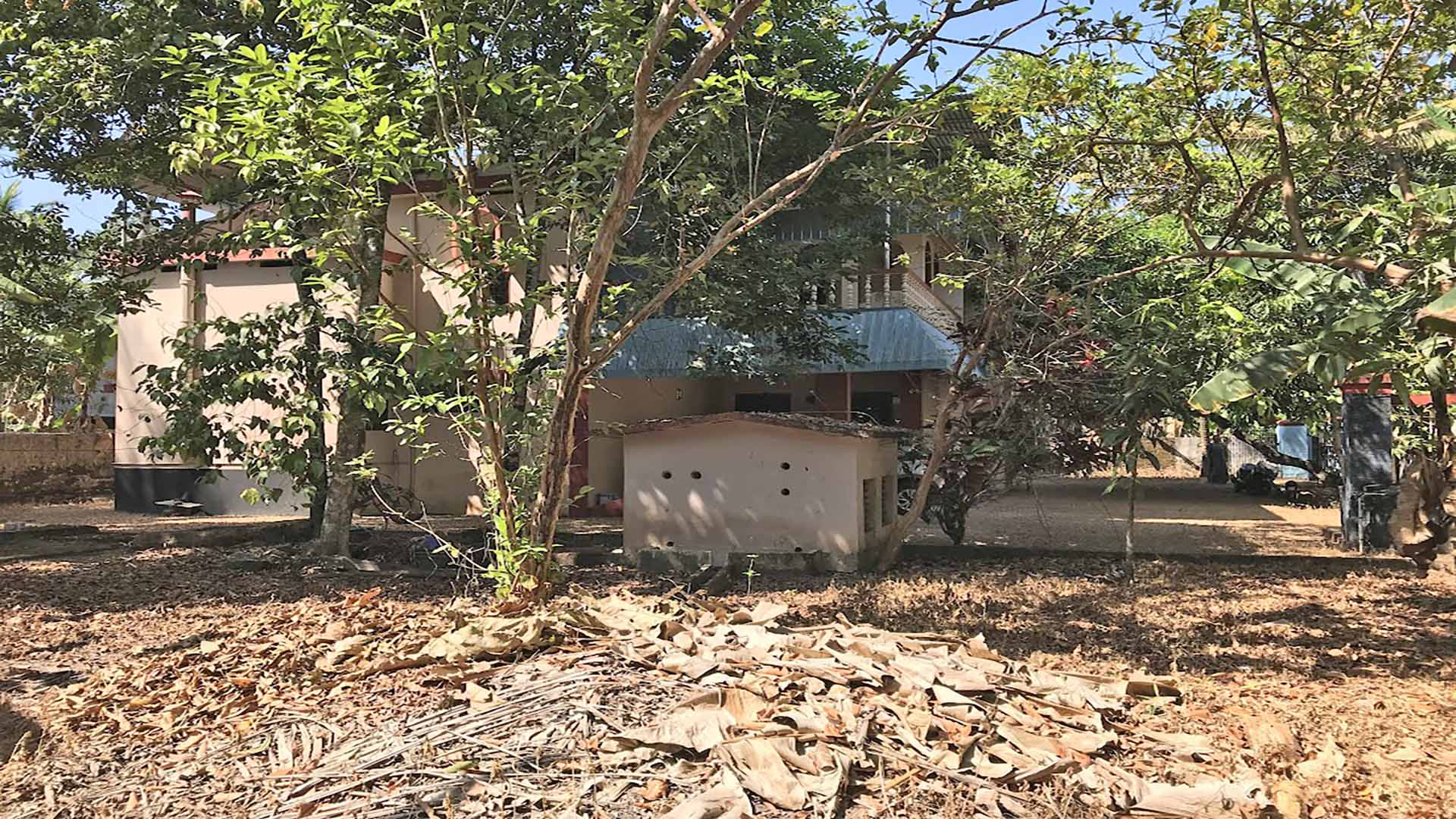 Land with fruit trees for sale in Chengannur