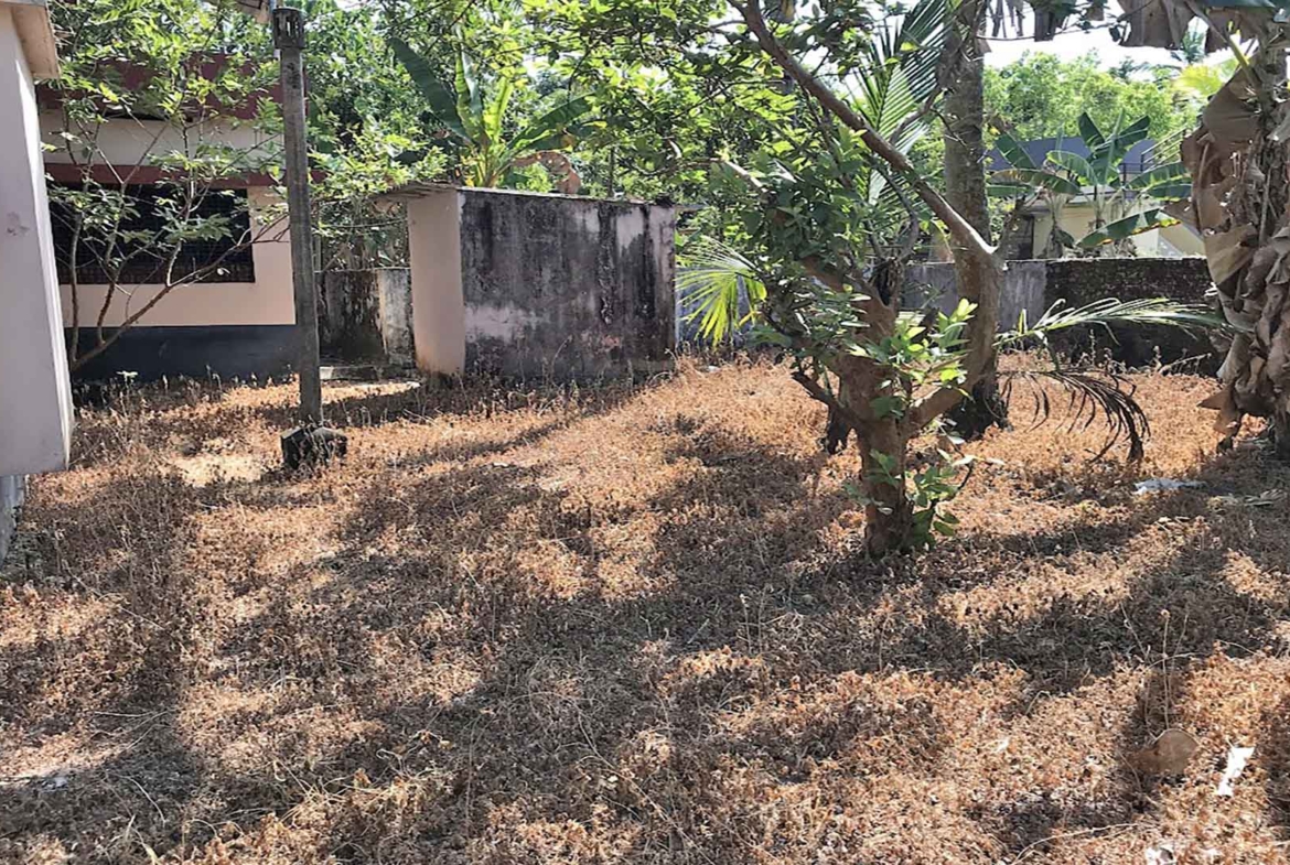 Side yard and secure boundary wall of Chengannur house