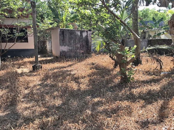 Side yard and secure boundary wall of Chengannur house