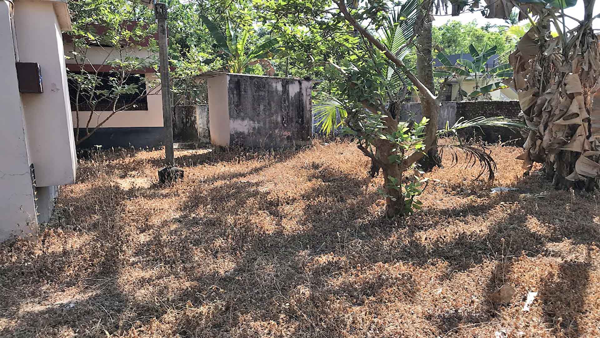 Side yard and secure boundary wall of Chengannur house