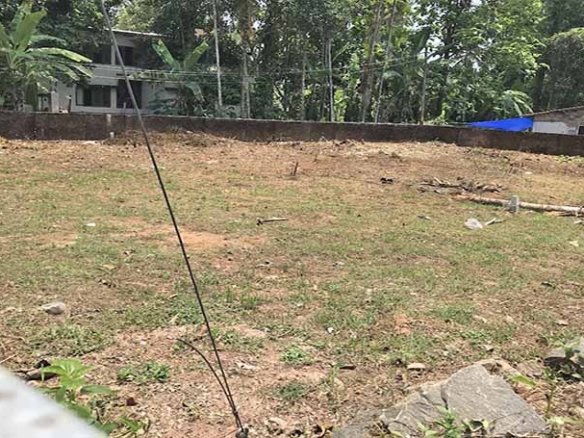 A wide, leveled 26-cent plot of development land for sale in Thiruvalla, Kerala, showing a clear perimeter wall and surrounding greenery.
