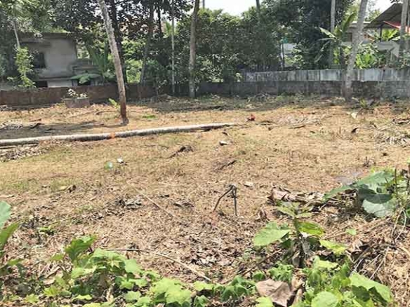 An interior view of the 26-cent land for sale in Thiruvalla town, showing the dry, leveled surface, perimeter walls, and neighboring residential buildings.
