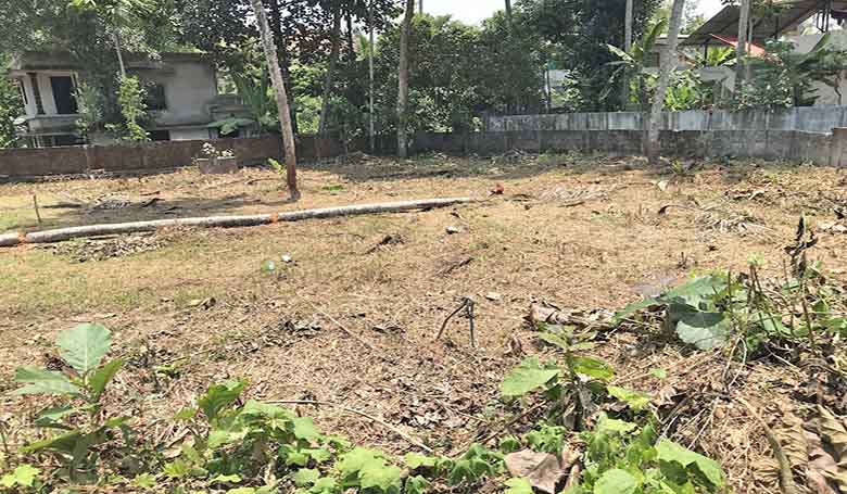 An interior view of the 26-cent land for sale in Thiruvalla town, showing the dry, leveled surface, perimeter walls, and neighboring residential buildings.