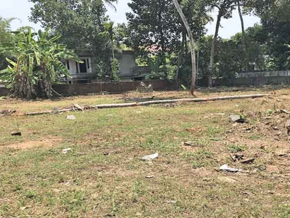 A wide-angle view of the 26-cent dry land in Thiruvalla, Kerala, showcasing the expansive, level ground suitable for a villa complex or apartment tower.