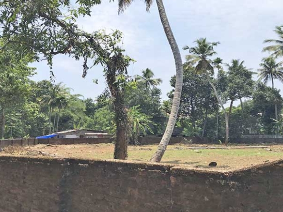 A view of the 26-cent land in Thiruvalla from outside the boundary wall, showing the secure perimeter and coconut trees within the plot.