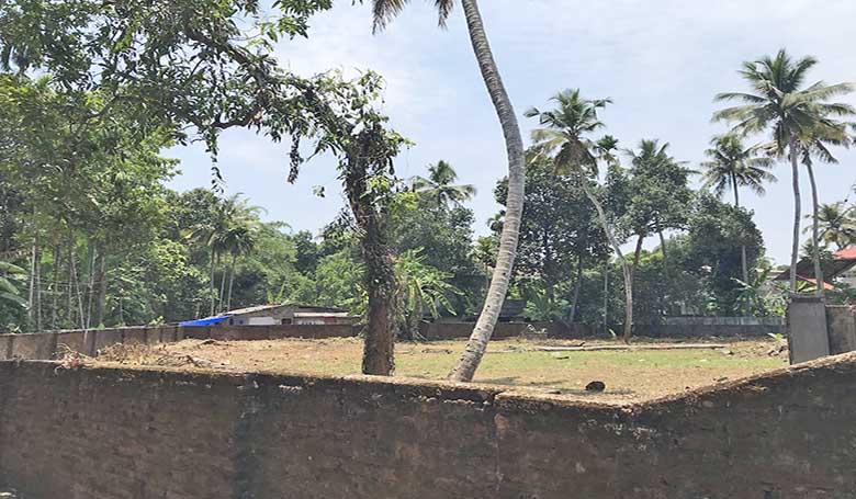 A view of the 26-cent land in Thiruvalla from outside the boundary wall, showing the secure perimeter and coconut trees within the plot.
