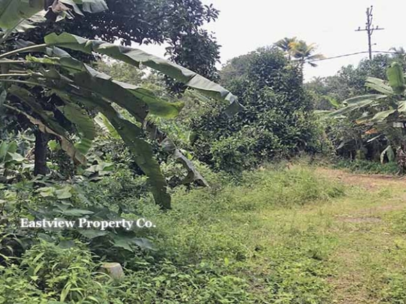 27 cents of dry commercial land for sale in Manjadi, Thiruvalla.