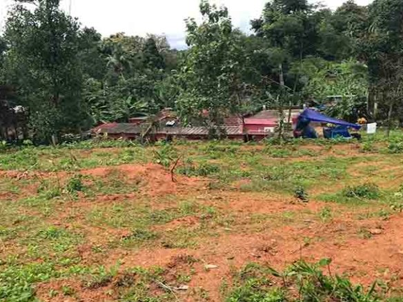70 cents of dry land for sale in Chengannur Kerala near Central Hatchery showing the plot level and surrounding greenery.