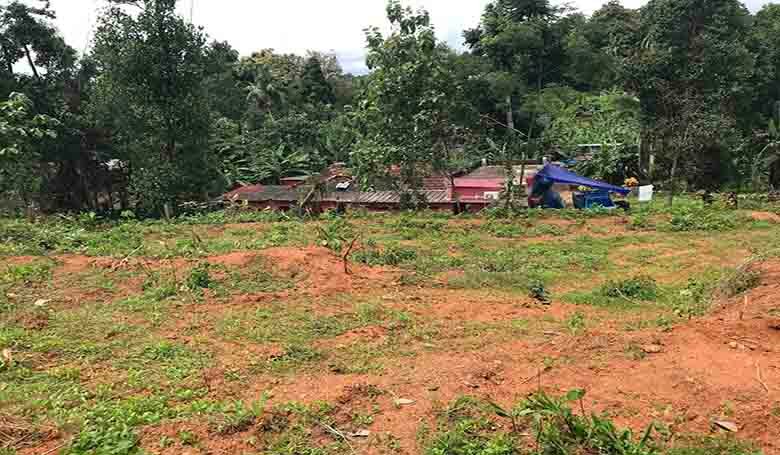 70 cents of dry land for sale in Chengannur Kerala near Central Hatchery showing the plot level and surrounding greenery.