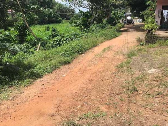 Off-road vehicle path leading to the 30 cent property with 2 BHK house in Kareelamukk, Thiruvalla