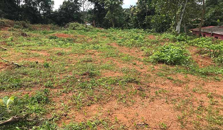 Dry land plot for sale near Central Hatchery in Chengannur showing the cleared soil layout and property terrain.