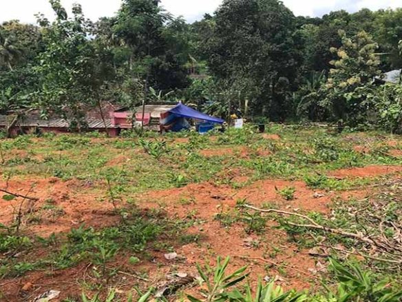 Land plot for sale near Poomala Chaal Chengannur showing the proximity to neighboring houses and plot boundaries.