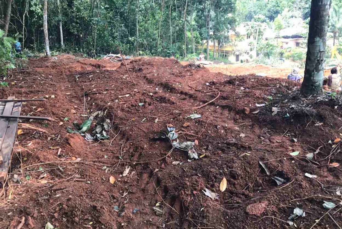 Freshly leveled red soil plot surrounded by mature rubber trees for sale near Komattu Junction Puramattom.