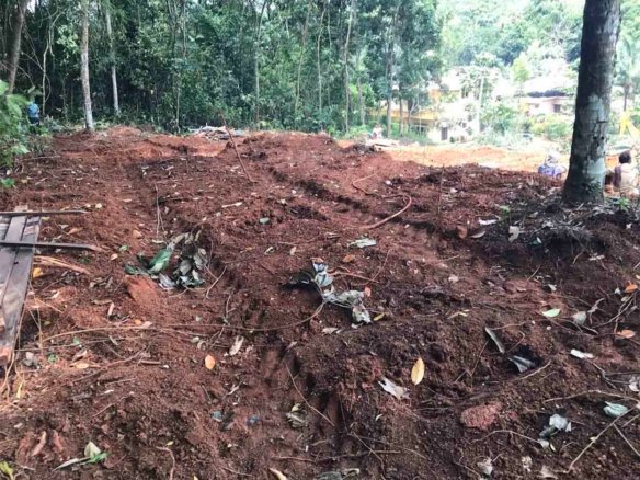 Freshly leveled red soil plot surrounded by mature rubber trees for sale near Komattu Junction Puramattom.