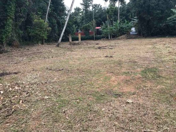 50 Cents land sale, Kumbanad near Thiruvalla cleared level plot