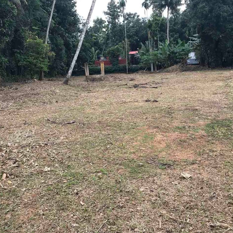 50 Cents land sale, Kumbanad near Thiruvalla cleared level plot