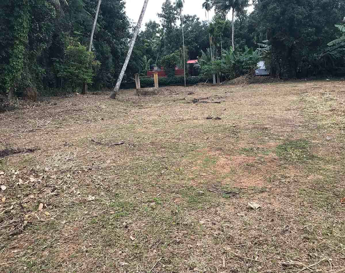 50 Cents land sale, Kumbanad near Thiruvalla cleared level plot