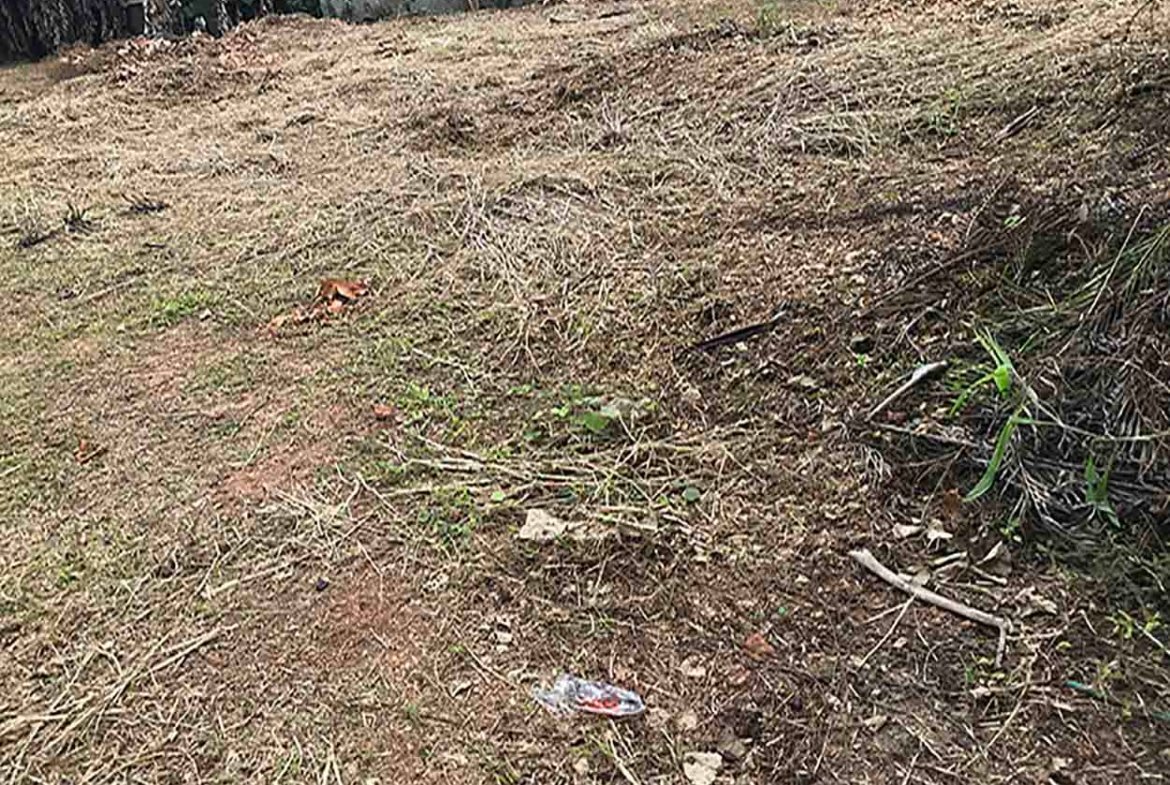 Flood free elevated plain land sale, Kumbanad near Thiruvalla