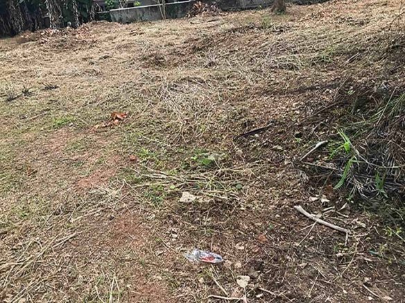 Flood free elevated plain land sale, Kumbanad near Thiruvalla