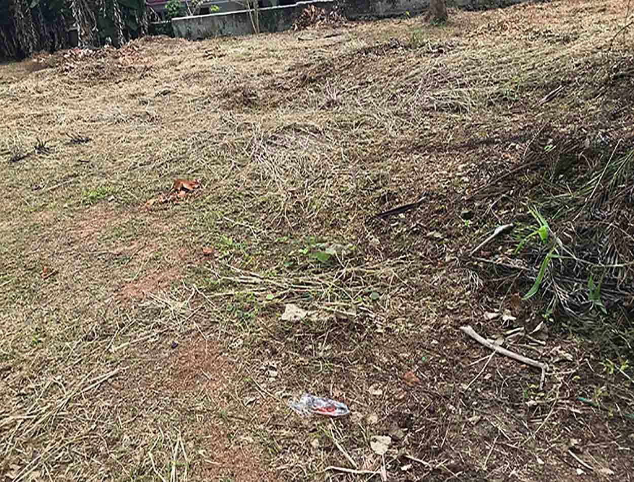 Flood free elevated plain land sale, Kumbanad near Thiruvalla